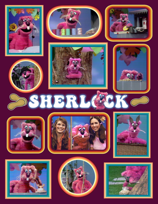 Sherlock The Squirrel Here!